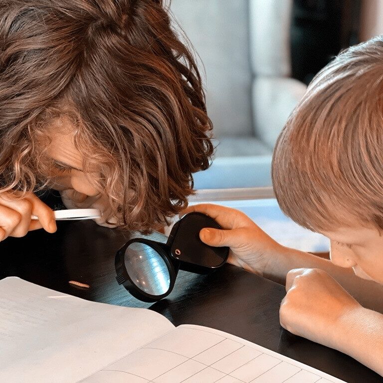 Homeschool - Science