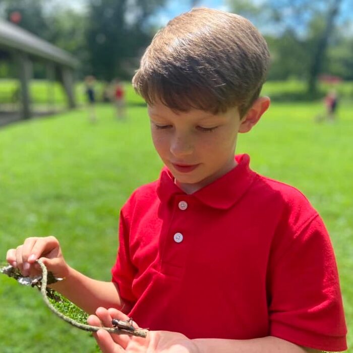 A vital principle in an Ambleside education is the idea that ‘Children are Born Persons.’ Charlotte Mason reminds us that children are made in God’s image with great capacity and born with an innate desire for knowledge.