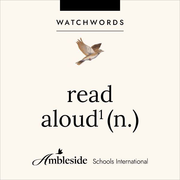 Charlotte Mason speaks of the family read aloud as a habit, 1-2 evenings each week for an hour. There are few stronger family bonds than this habit of devoting an occasional hour to reading aloud.